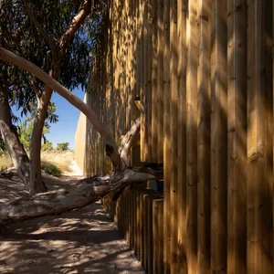 A modern beach house with a wooden fence surrounded by sand and trees.