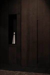 Modern closet with dark wooden panels and built-in storage