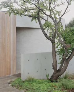 A minimalist entryway featuring a concrete wall and wooden door, surrounded by greenery with a tree.