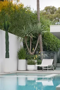 Modern outdoor space featuring white pots with green plants, a pool, and a white lounge chair.