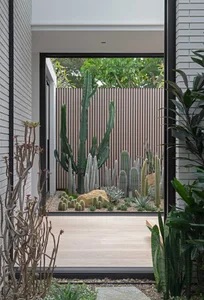 Modern entrance yard featuring a concrete pathway and rock surrounded by various cacti and succulents, framed by a wooden fen