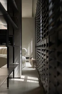 A fluffy cat standing on a textured wall panel in an indoor setting, showcasing a minimalist design.