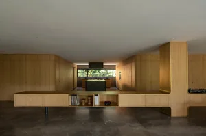 Modern residential kitchen featuring wooden cabinets and dark marble countertop.