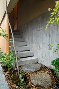 Minimalist home exterior with concrete steps and landscaping.