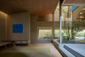Modern living room with wooden floors, large glass windows, and indoor plants.