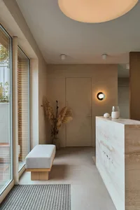 A modern minimalist entryway features a concrete wall with a small plant and a limited color palette.