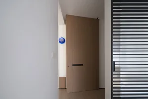A modern wooden doorway with a blue circular detail on a white wall.
