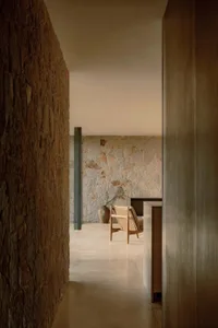 A minimalist living room with concrete walls, a wooden armchair, and a vase with green branches.