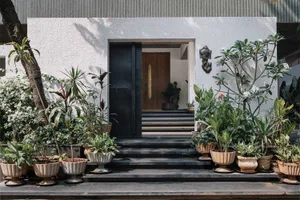 A modern concrete building exterior featuring a wooden door and various potted plants.