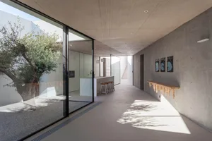 Modern interior space featuring concrete walls and ceiling, with a large window showcasing an olive tree.