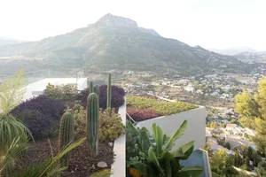 A rooftop garden with cacti and succulents overlooking a hilly landscape with distant mountains.