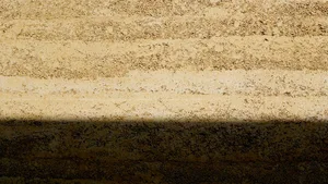 Close-up view of a textured sandstone wall illuminated by natural light.