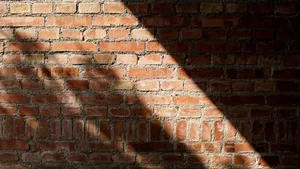 A rustic brick wall with sunlight shining through, creating dramatic shadows.