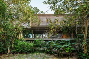 Modern house exterior featuring wooden panels and large windows, surrounded by lush greenery.
