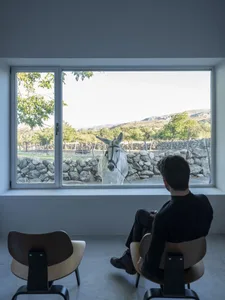 A minimalist home interior with a large window showcasing a donkey outside.