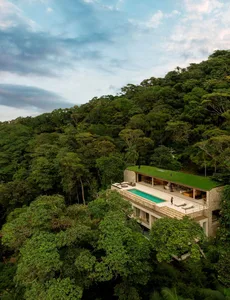 A modern house with a green roof surrounded by lush greenery.