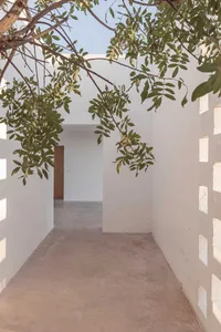 A minimalist empty corridor with concrete walls and a small window in the ceiling, surrounded by greenery.