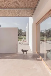 A minimalist residential patio features concrete flooring with large, floor-to-ceiling windows and a small dog walking by.