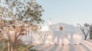Minimalist white plaster exterior home with tree shadows cast on the wall.