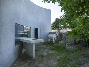 A minimalist courtyard featuring a smooth granite wall, table, and a white spotted horse near a tree.