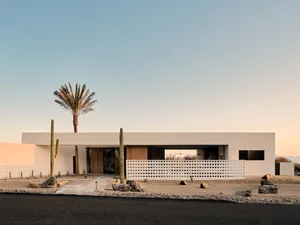 Modern house with a concrete exterior featuring a palm tree and cacti.