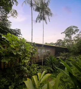 Modern living space featuring wooden structures amidst greenery.