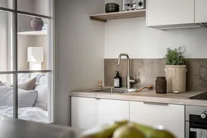 A modern, minimalist kitchen with a concrete countertop, a stainless steel sink, and a white cabinet, featuring a small green