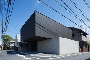 Contemporary house with black metal exterior panels and concrete base.