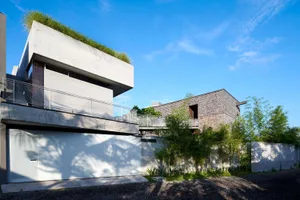 Modern concrete house with greenery on rooftop and tropical plants in the landscaping.