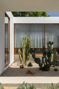 An outdoor view of a minimalist house with a concrete exterior, featuring large windows and a cactus garden.