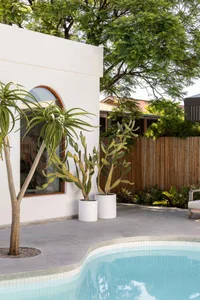 A modern backyard featuring a sleek, curved pool, potted cactus plants, and concrete flooring surrounded by lush greenery and