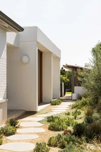 Concrete pathway with rock border in a residential setting