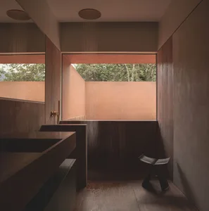 A minimalist bathroom with wood walls and features.