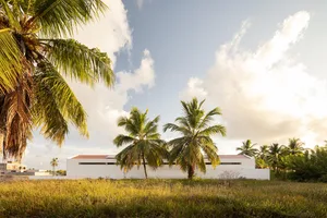 A modern house with concrete walls and palm trees in the foreground.