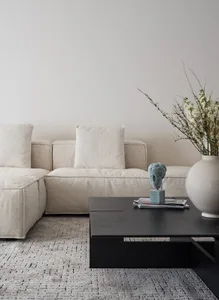 A minimalist living room featuring a fabric sofa with a coffee table and decorative vase.