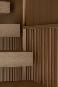 Modern minimalist interior with wooden paneling and wooden shelves.
