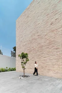 Person walking alongside a tall wall of beige concrete blocks with a small green tree planted in the ground.