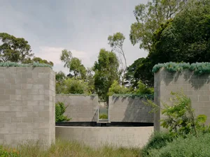 Modern concrete garden design featuring green plant-based elements.