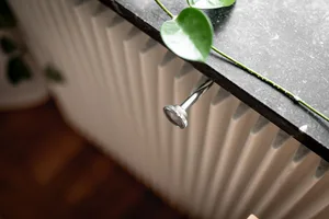 金屬散熱器把手上附有綠葉，置於白色散熱器前。