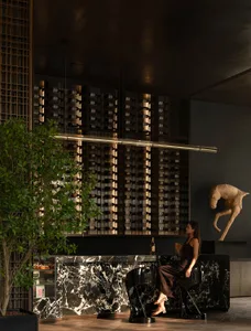 A sleek, contemporary wine bar with a marble exterior and a woman sitting at the bar enjoying a drink.