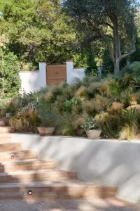 A concrete garden landscape featuring lush plants and a wooden door.