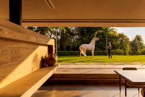 A modern interior with minimalist design, featuring a wooden wall and a white horse in the background.