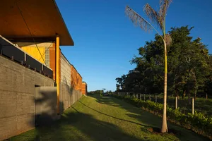 A modern house with wooden and concrete exterior materials, featuring a sloped roof and palm tree.