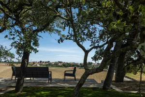 Landscape view of an outdoor area with trees and seating.
