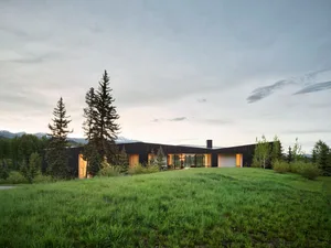 A modern exterior house with wooden siding situated on a grassy hill with trees and mountains in the background.