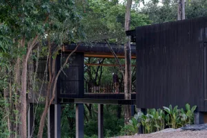 A modern residential house with a black exterior, featuring wood panels and a balcony.