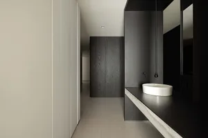 Minimalist bathroom featuring concrete sink and black wooden walls.