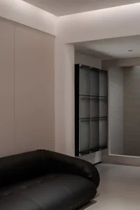 Modern minimalist living room featuring a glass cabinet and a sleek black sofa.