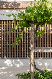 Modern outdoor area featuring wooden pergola and concrete elements.