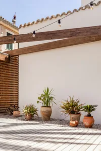 A serene outdoor patio featuring dryscape planters in terracotta pots, illuminated by string lights on a rustic wooden pergol